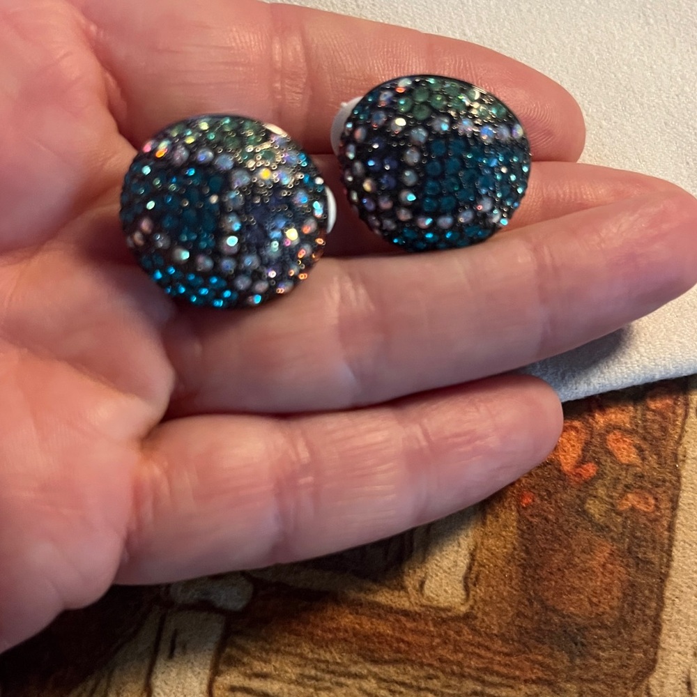 Joan Rivers Sample 
Sparkling Blue and Silver Stud Earrings
Clip